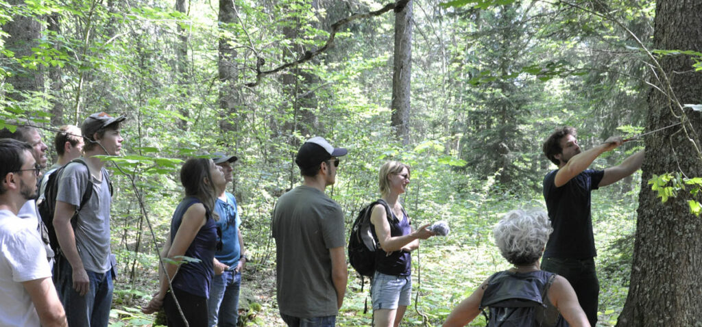 visite foret SDieuze24 1024x478